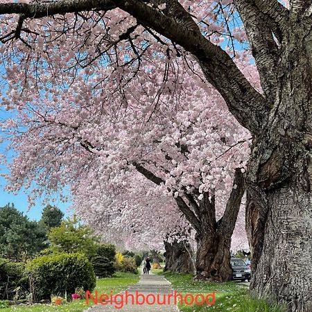 South Vancouver Guesthouse المظهر الخارجي الصورة